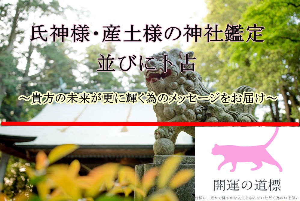 あなたを守護する縁深き日本の神様をお教えします ◆悩み解決に向けて貴方の未来が更に輝く為のメッセージをお届け イメージ2