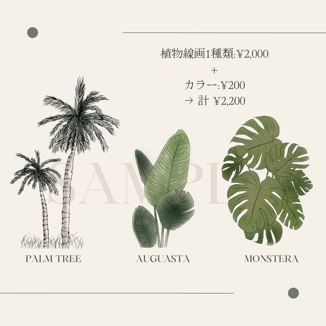 シンプルで可愛い植物画を描きます あなたの好きな植物を教えてください♡ イメージ3