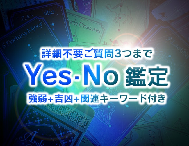 詳細不要で質問3つまでyes-noの判定をします 二択で迷われている事柄を強弱をつけて回答します イメージ1