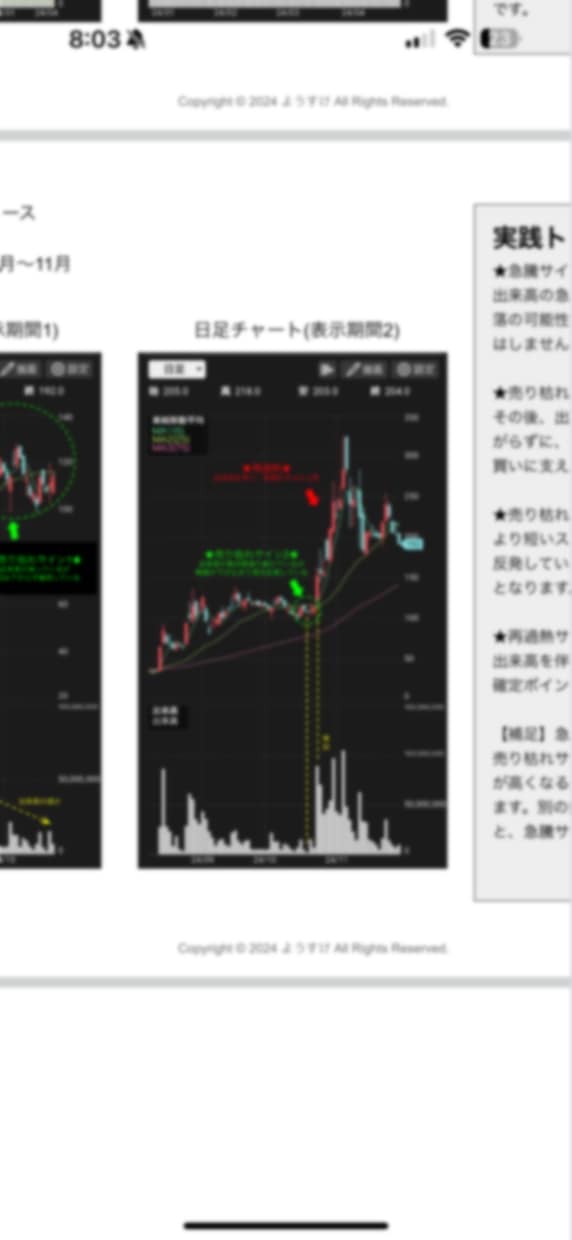 株式投資の基本マニュアルを提供します ◉初心者◉日本株の銘柄選び◉出来高によるスイングトレード手法 イメージ4