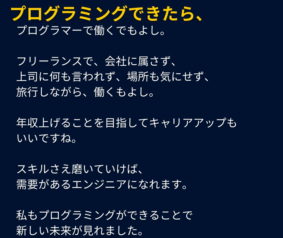 1ヶ月Python質問し放題！習得させます 未経験→SE→年収倍増！人生激変ロードマップも教えます イメージ4