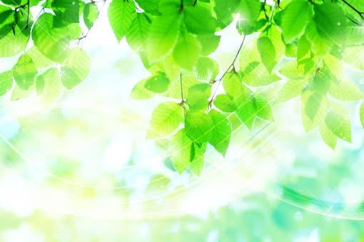 愚痴・悩み聞きます 気軽に話して、スッキリしましょう。 イメージ1