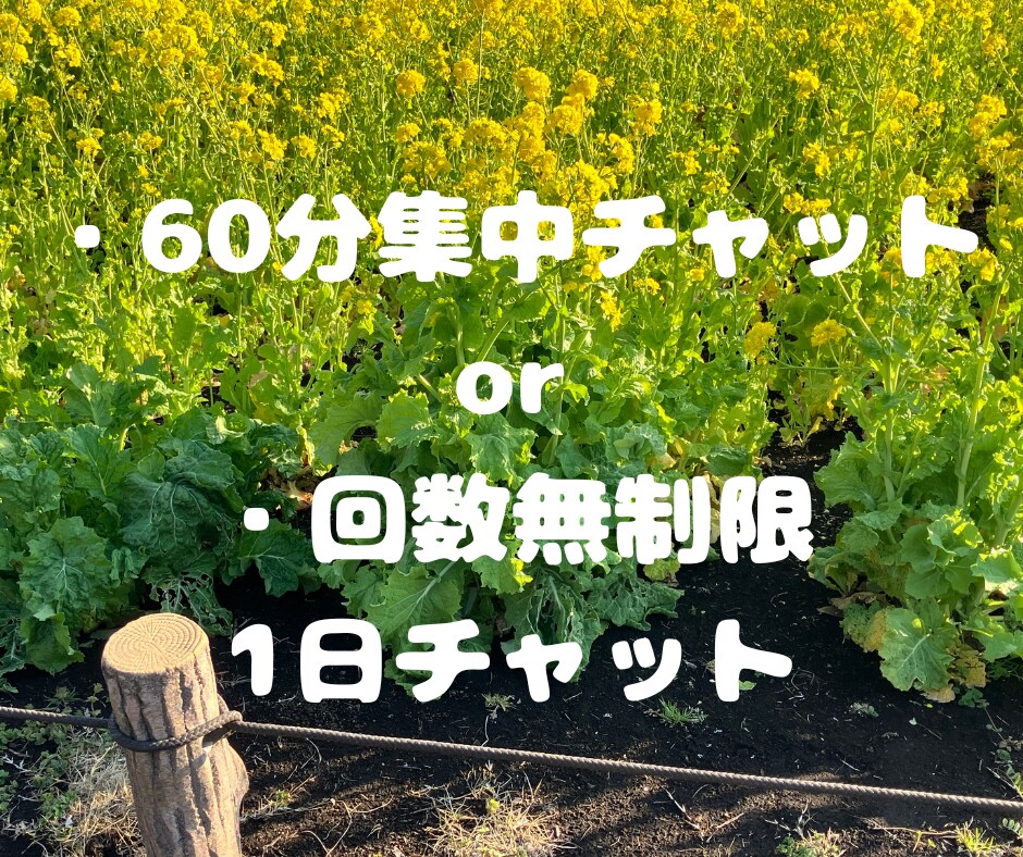 気分変調性障害当事者が丁寧に寄り添います 症状/うつ病との違い/双極性障害との違い/悩み/不安 イメージ2