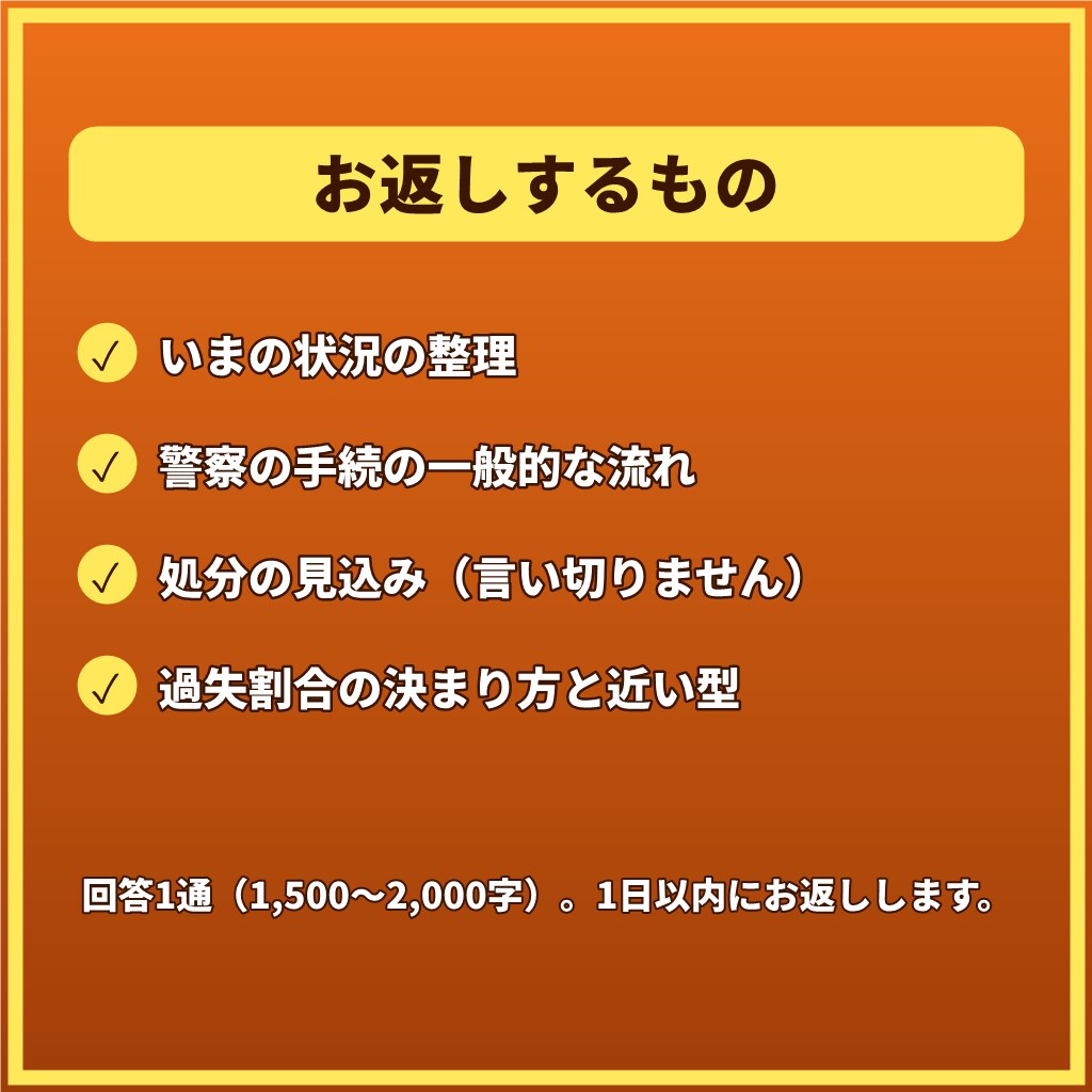 交通事故で不安なあなたへ元警察官が1往復で応えます 【1往復】人身・物損、被害側も加害側も。警察の手続を整理 イメージ3