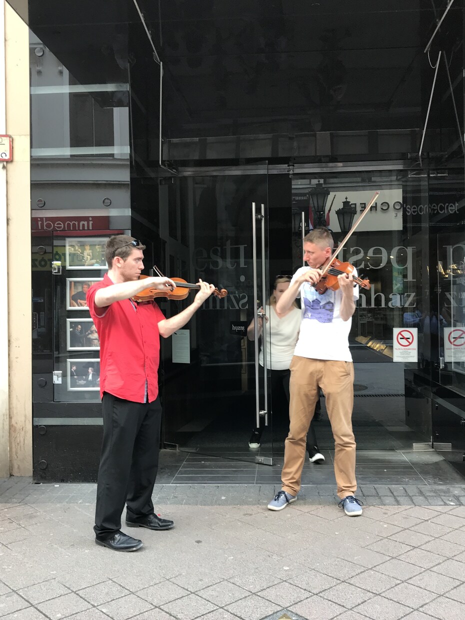 ハンガリー音楽と芸術に特化した旅を提案します 三代巨匠の足跡を辿るハンガリー音楽紀行 イメージ4