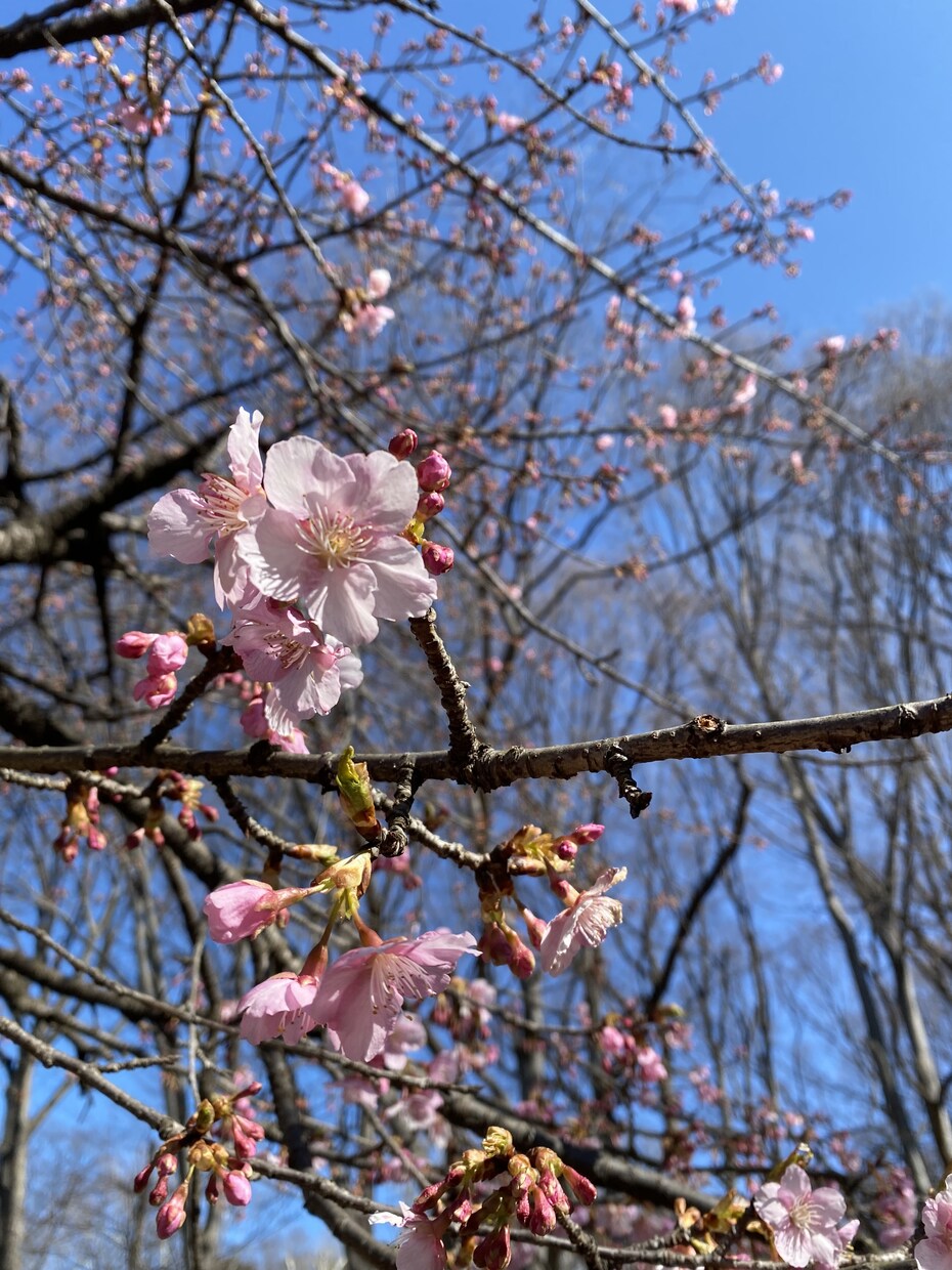 1か月後のあなたの人生好転させます 仕事、恋愛、ダイエットまで、全部あなたの思いのまま イメージ1