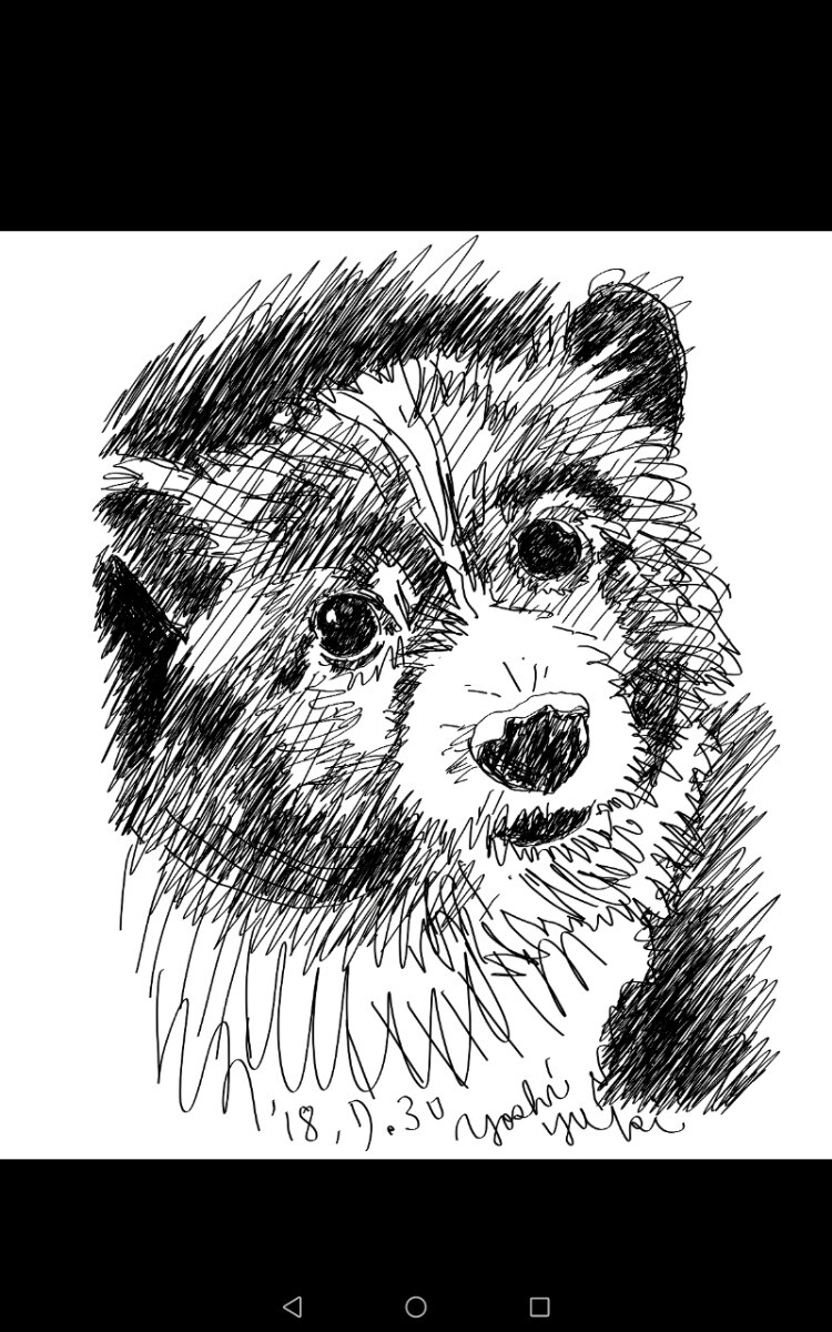 ペットのイラスト描きます 可愛いですよ　いろいろ描きます　カラー　でもモノクロでも イメージ2