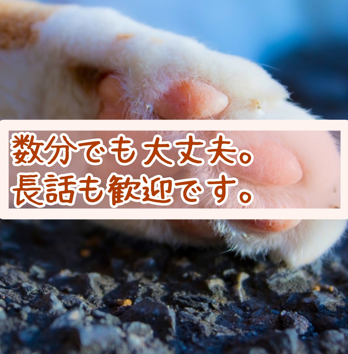 どんなお話でも、丁寧に聞きます カウンセリング技術を活かして、丁寧にじっくりお話を聞きます。 イメージ4