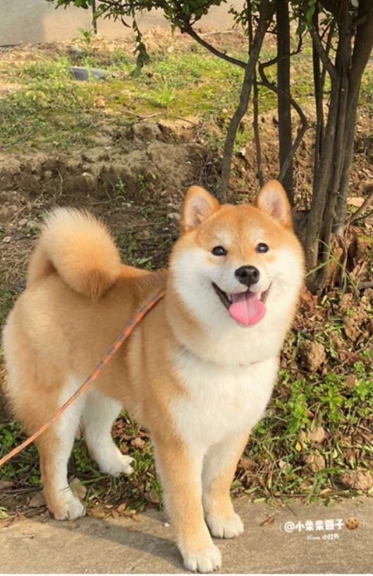 愚痴聞き、悩み・恋愛相談、話し相手、何でも聞きます あなたの気持ちを最優先!!秘密厳守！愚痴・雑談OK イメージ1