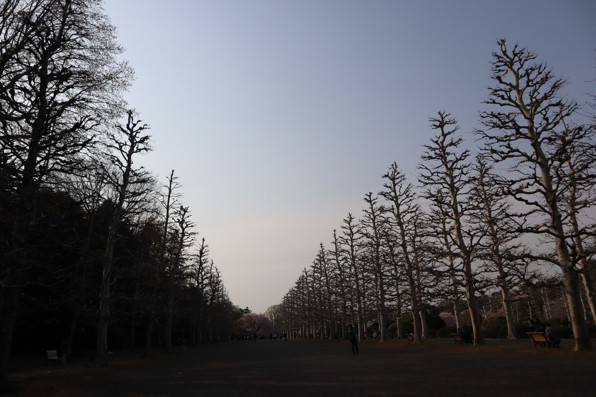 あなたの心に残るフォトをお届けします 自然体を生かし、一枚の写真で人の心を動かす写真家 イメージ10