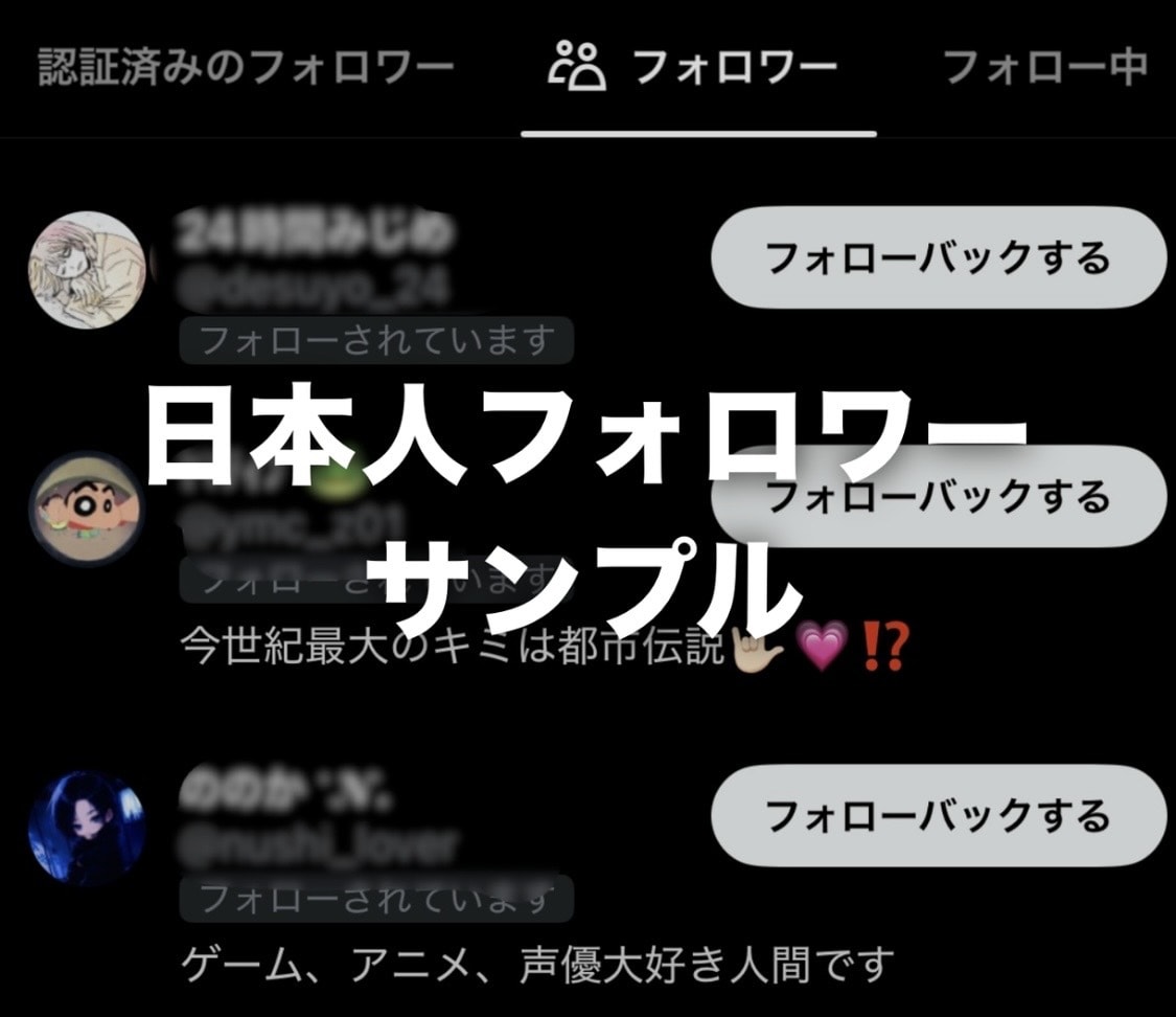 Twitterを拡散し日本人フォロワーを増やします X日本人フォロワー増加！最大30,000人対応可能！ イメージ2