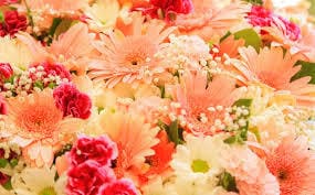 古占術による、お二人の結婚相性占い。鑑定致します 相性や結婚でのアドバイス、気をつけることを鑑定します。 イメージ4