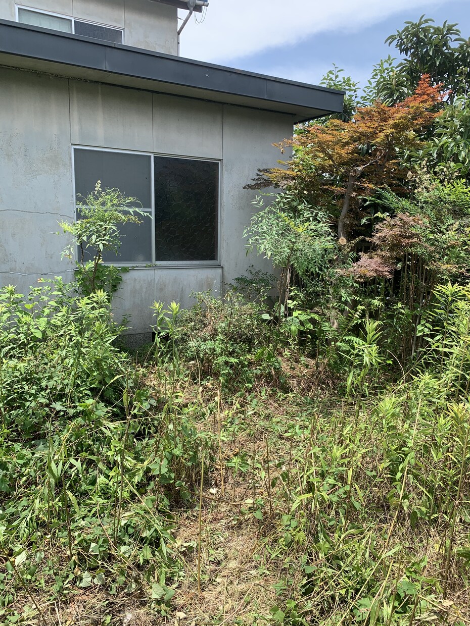 空き家の庭掃除！除草、庭木の剪定します 実家が！転勤で持ち家が！苦情が！を解決します。 イメージ2