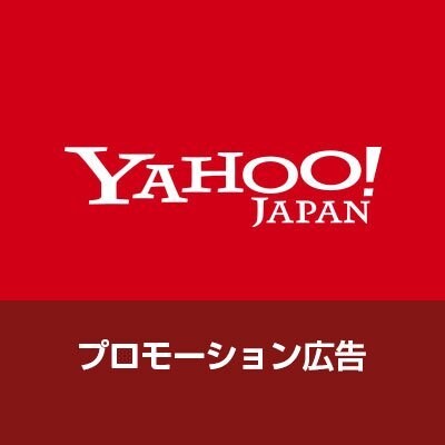 Yahoo!広告の運用についてアドバイスします いわゆるYSS・YDNの1ポイントアドバイスを行います。 イメージ1