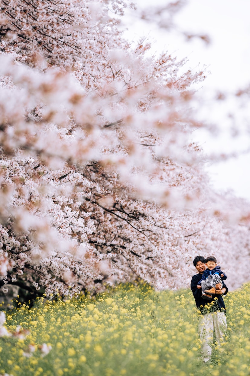 お気に入りの写真、甦らせます お写真のレタッチや余計な写り込みを消します！ イメージ6