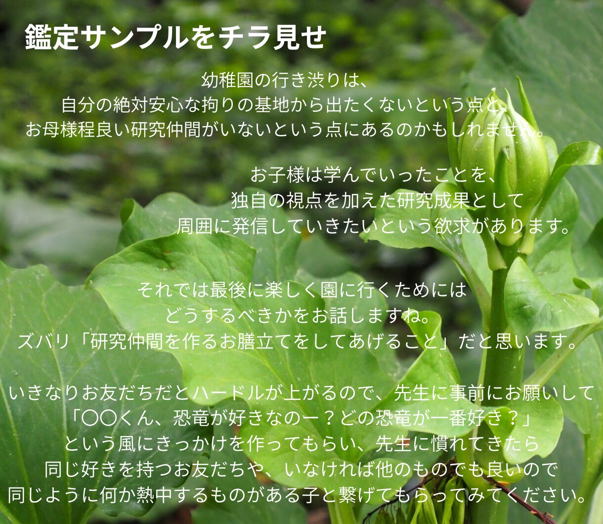 星読みでお子様の才能の種・考え方の傾向鑑定します ​【お試し価格】星占いで見る我が子の才能の種の芽吹かせ方 イメージ3
