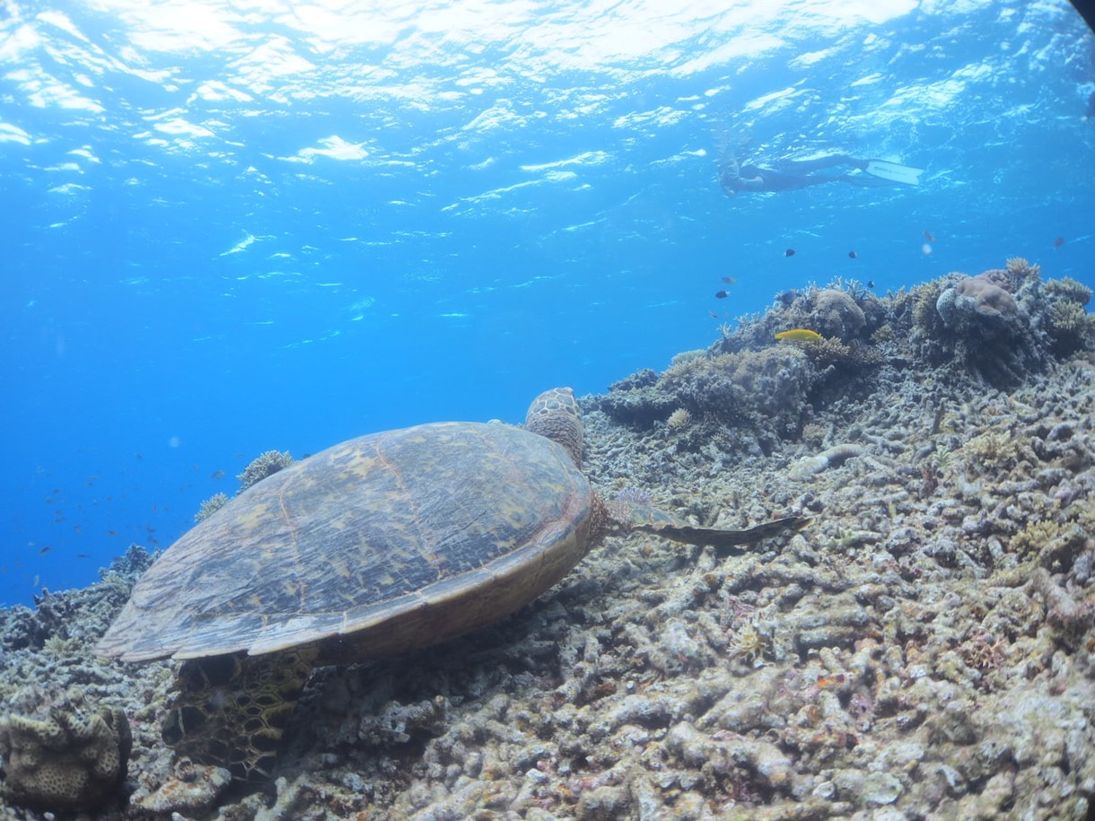 温泉・離島・断食！心身を癒す旅を提案します 有資格者＆離島・温泉好きが、あなたにぴったりの癒やし旅を伝授 イメージ8