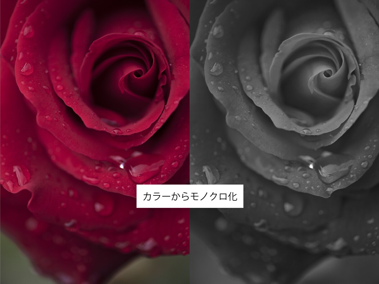 写真をモノクロ写真に仕上げます 【モノクロ写真専門】の経験を活かし仕上げます イメージ4