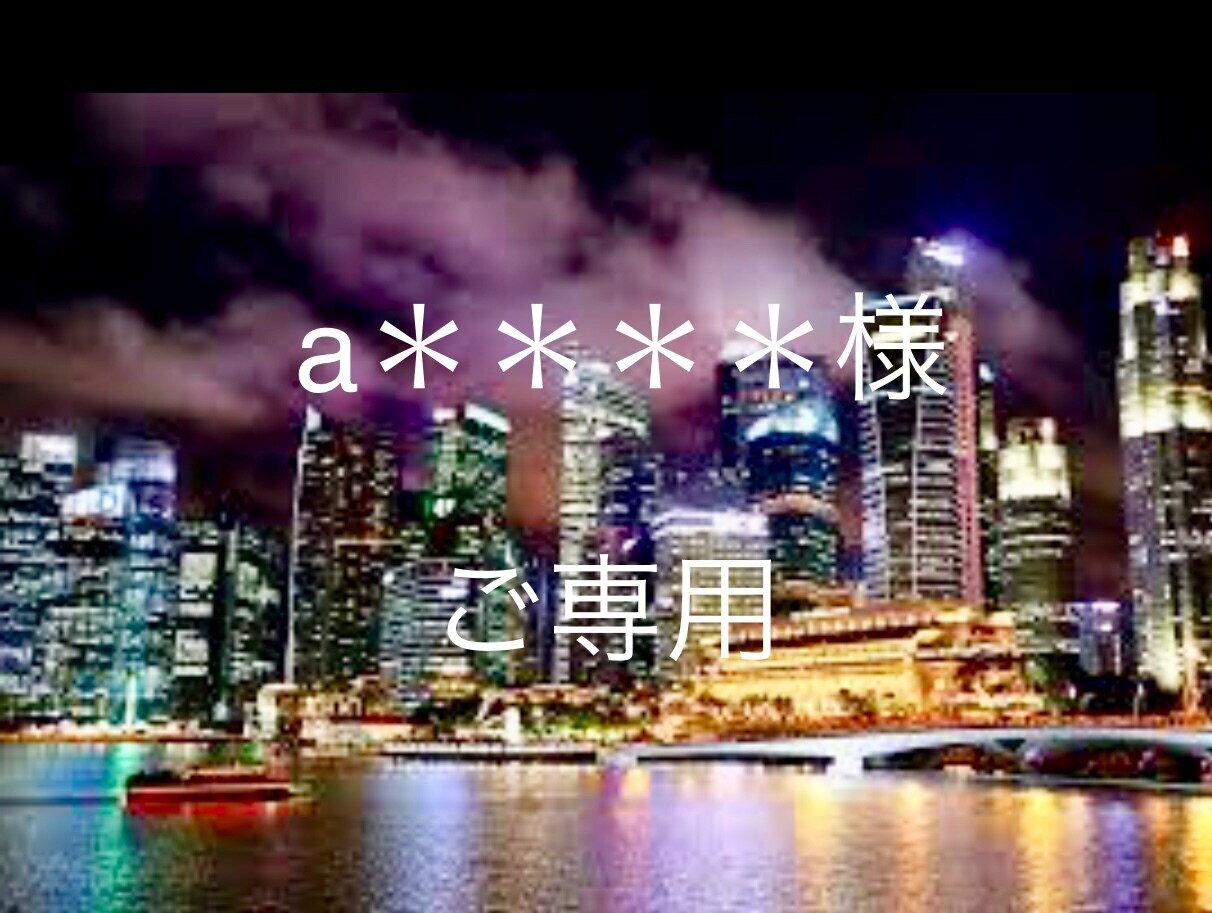 a＊＊＊＊＊＊様ご専用となります 英文resumeお作りいたします！ イメージ1