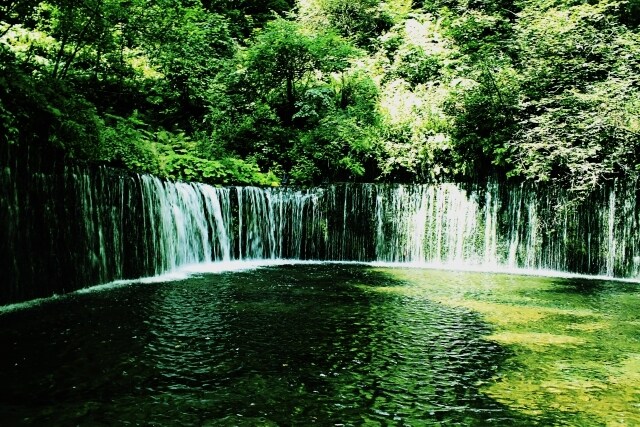 今お持ちの精油を使ったブレンド10種教えます プロが厳選した\(ϋ)/♩アロマブレンドバリエーション☘ イメージ2