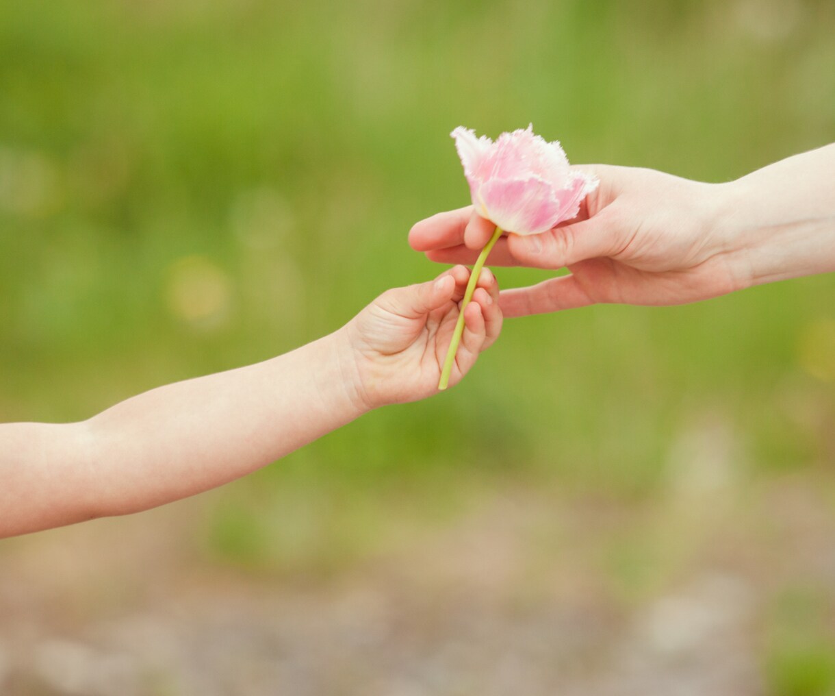 どうしたらいい？子育ての不安やストレス解消します 子育ての自信を取り戻し、子供を愛する自分になってみませんか？ イメージ10