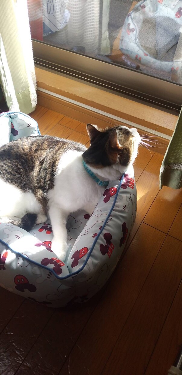 介護や家庭の事でお悩みの方のお話し伺います 今辛い！どうにかなりそう！そんな時は頼って下さい イメージ1