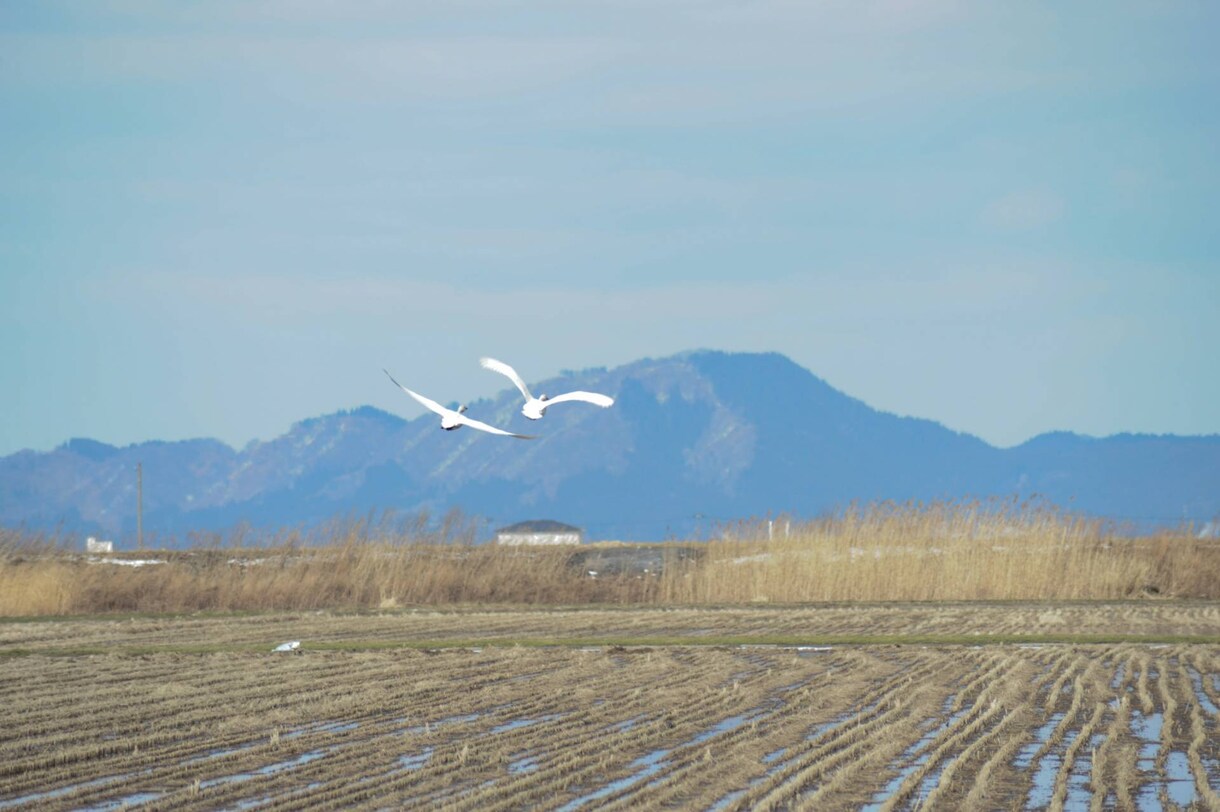 秋田県でロケーション写真代行します SNSへの投稿、まとめ作成の素材に！高画質をお安く提供します イメージ3