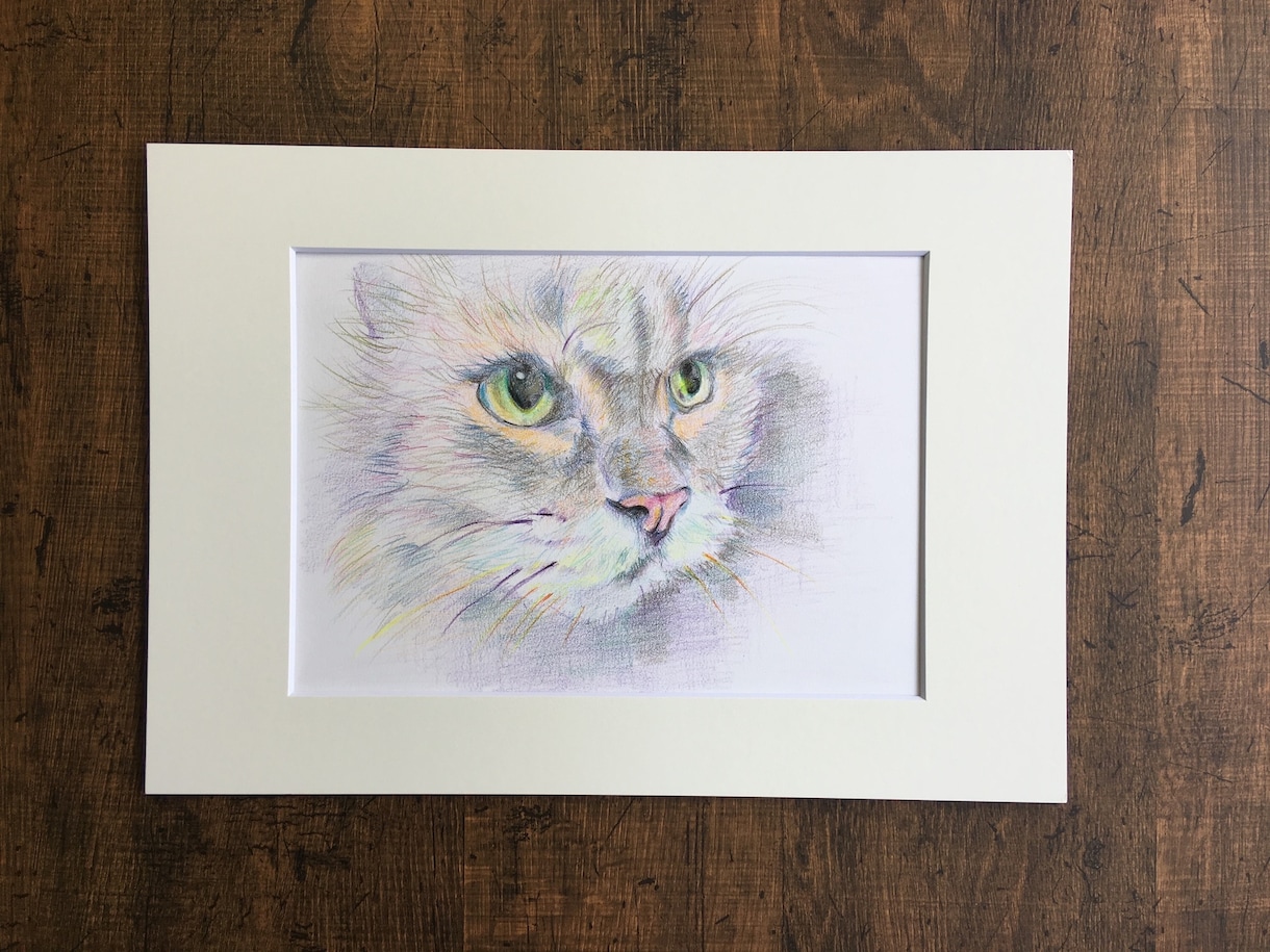 あなたの大切な人、ペットを絵画にします 色鉛筆画　B5サイズです。心を込めて制作致します。 イメージ3