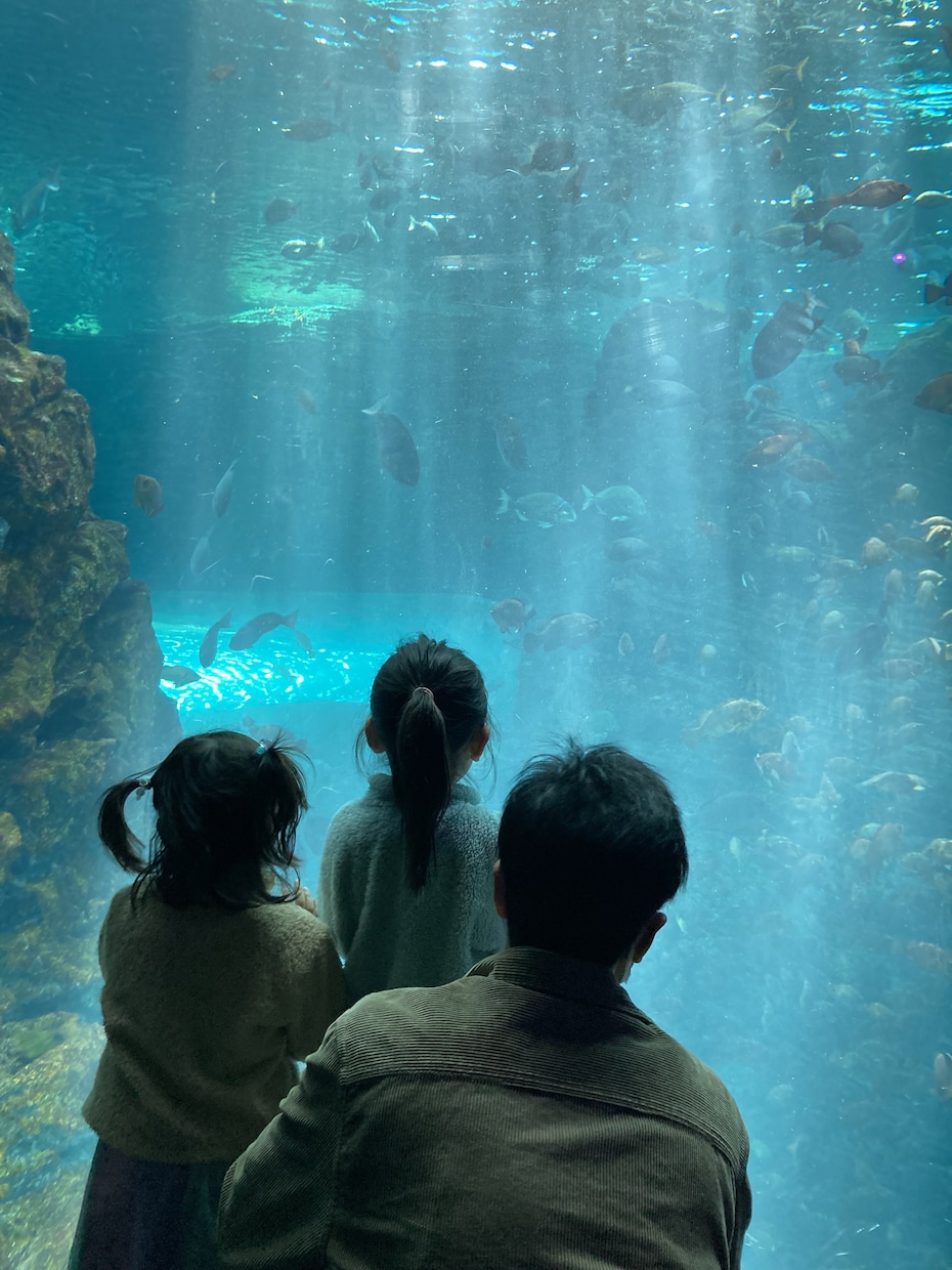 子連れで旅行の計画立てます 予算内で最高な思い出創りませんか？ イメージ9