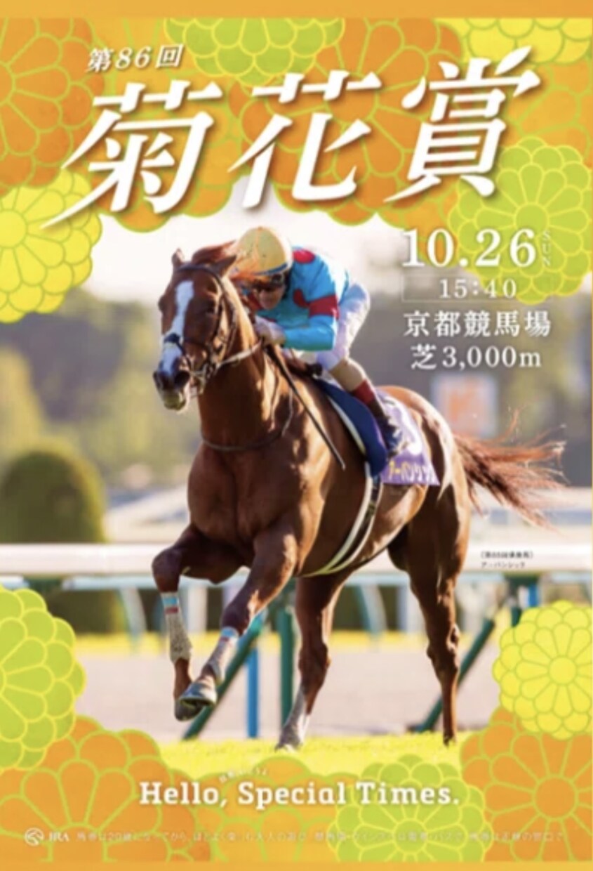 菊花賞はこの馬しかいない❗️勝ち馬を教えます このデータに当てはまるだけで、勝ち馬がわかります❗️ イメージ1