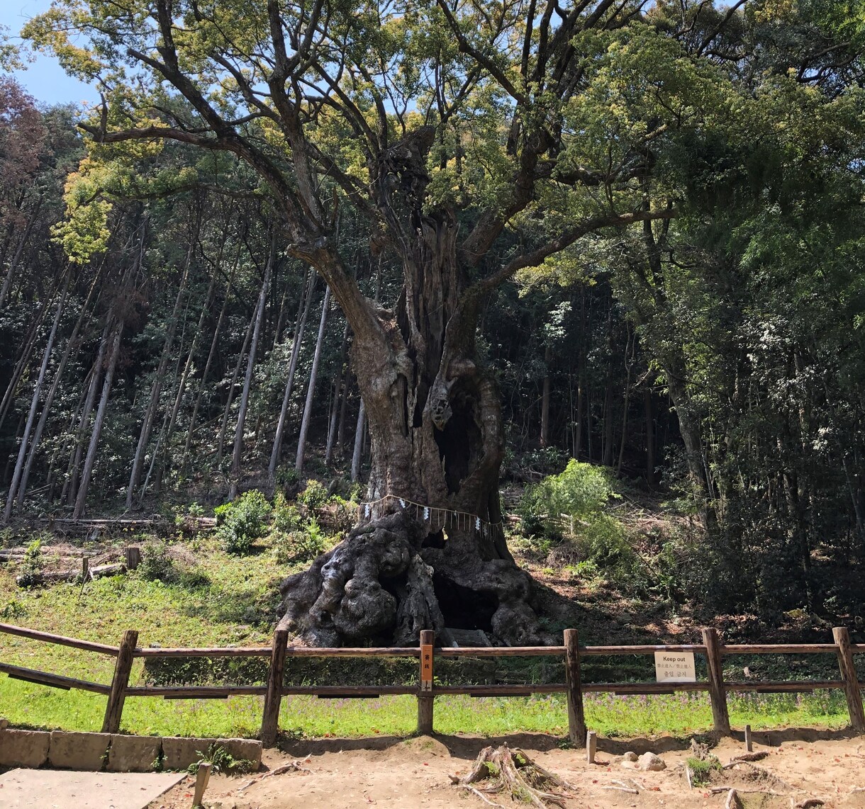 あなたの心に寄り添います 辛い気持ちでいっぱいな時　そうじゃなくても　いつでもどうぞ イメージ5