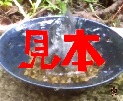 鳥の水浴び写真を提供します 野鳥の水浴びは見てて癒される気がします イメージ7
