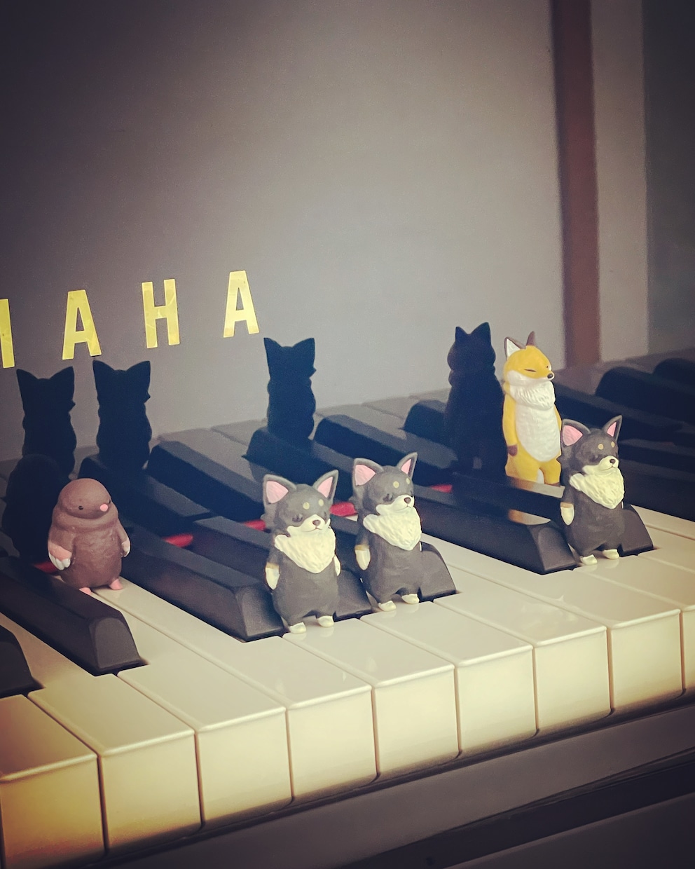 音浴セラピーをお届けします ✨あなたの音が、あなたを包む✨ イメージ1