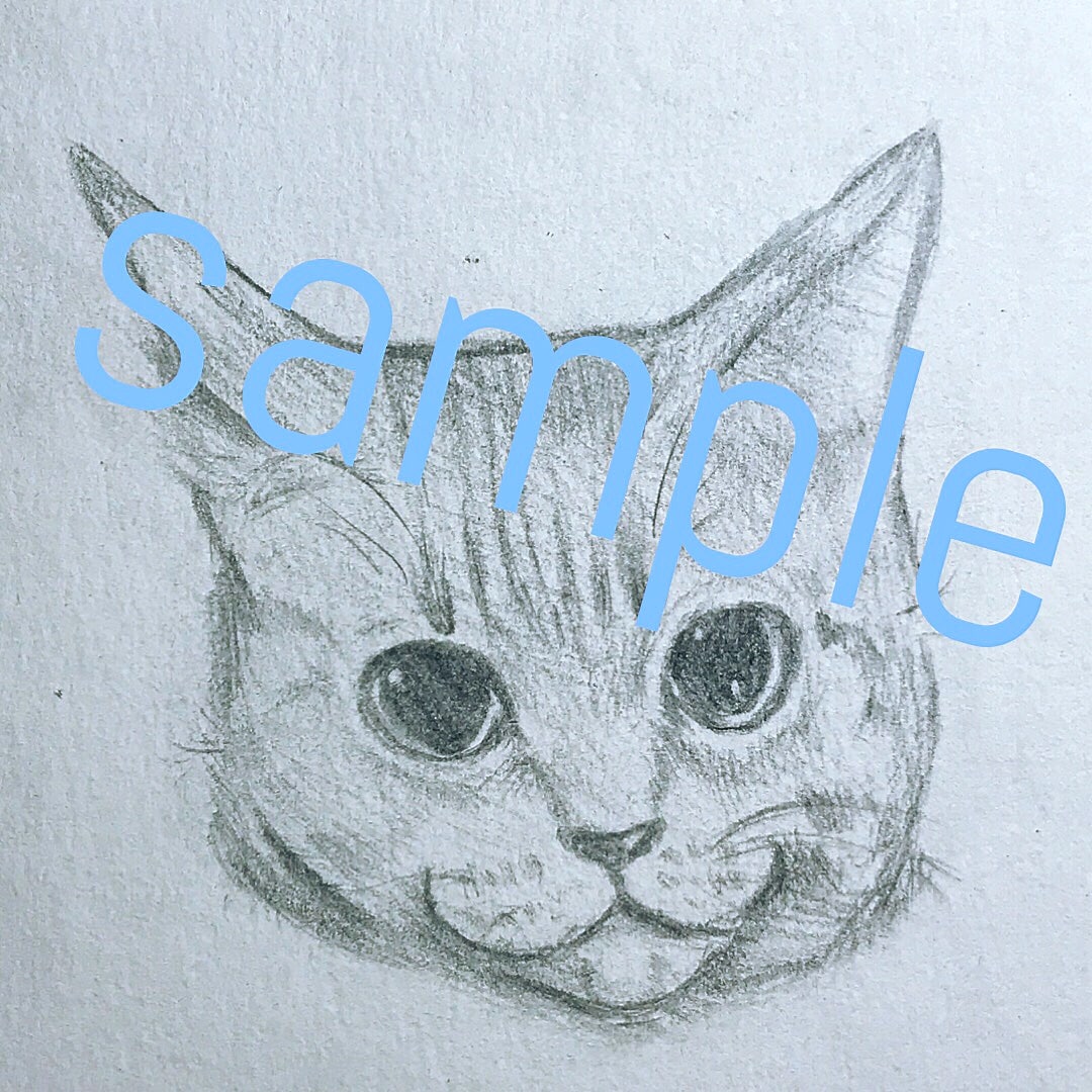 あなたのお家の猫ちゃん描かせていただきます 猫ちゃんをイラストにして欲しい方へ♪ イメージ1