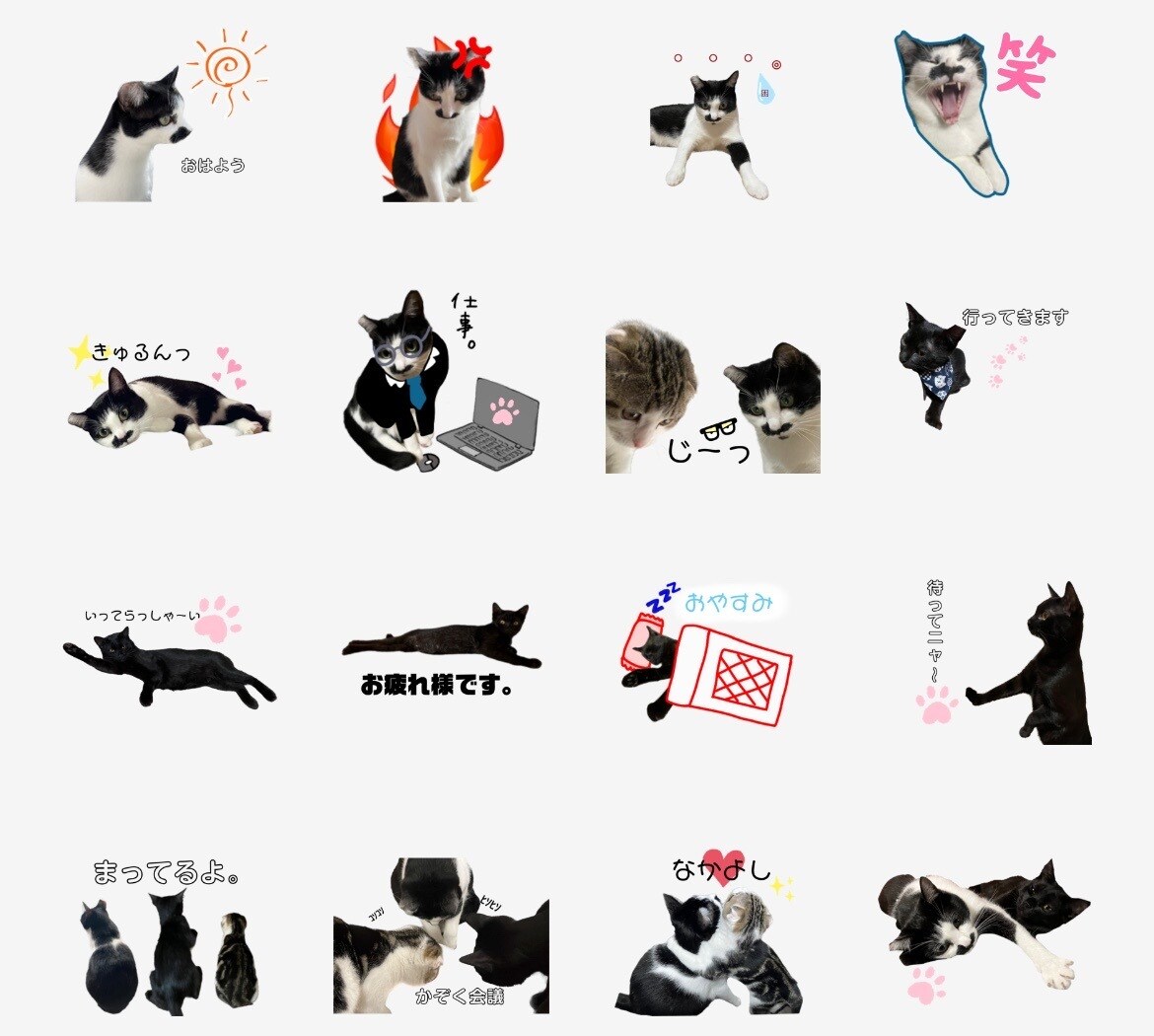 LINEスタンプ作ります ペット、人間、ゆるキャラなんでもOK！ イメージ6