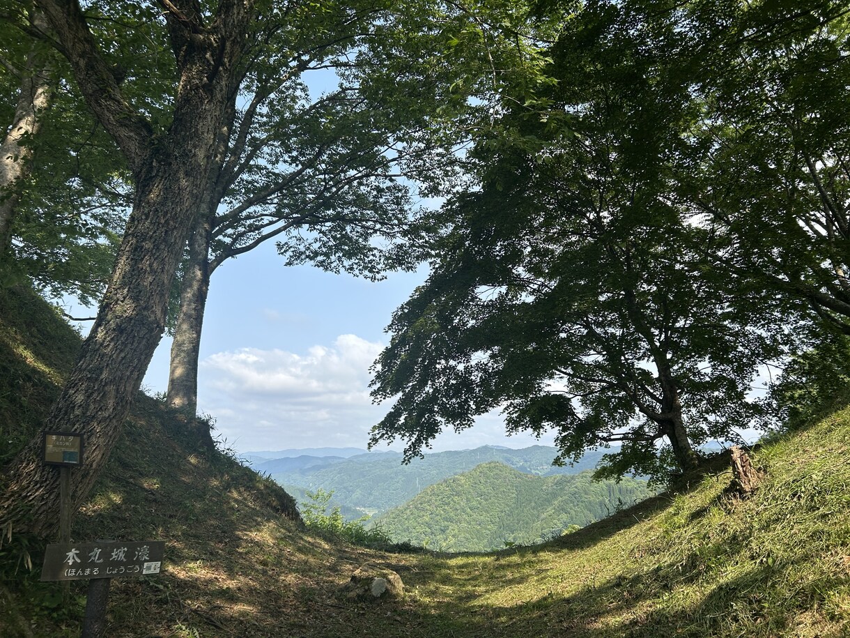 本来のあなたと今のあなたとのギャップを鑑定します 1回で何かが変わるなんて魔法はありません。人生一度きり。 イメージ3