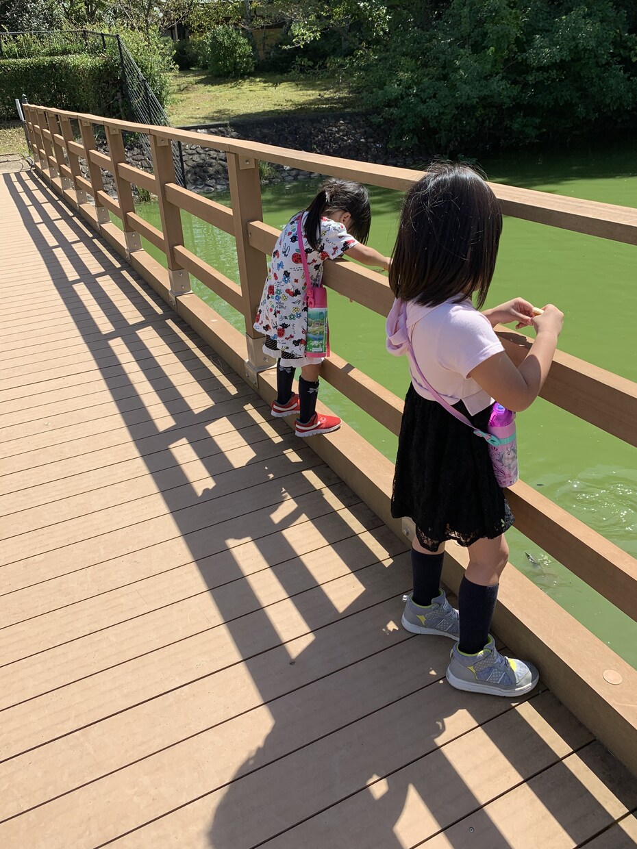 離婚から次のステップまで相談承ります 離婚したいが、子供がいるから...とお悩みの方へ イメージ1