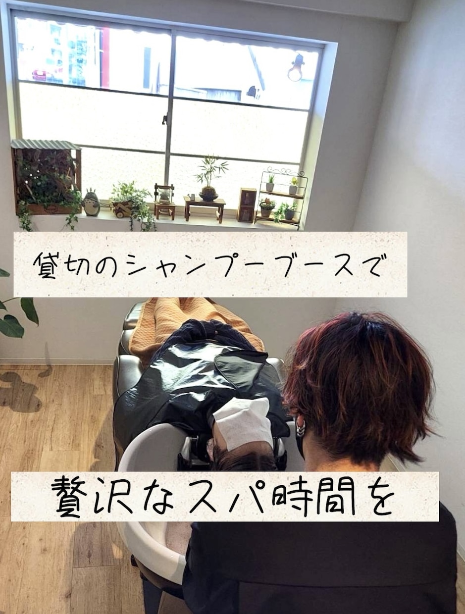 髪の毛の悩み美容師がお話ききます 抜け毛、薄毛、ヘアケアなどの悩みがある方はぜひ！ イメージ1