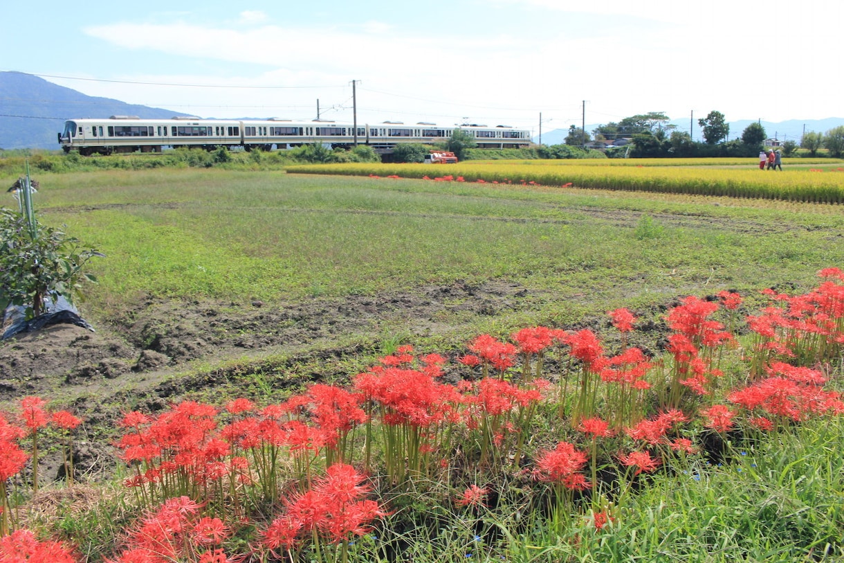 鉄道写真撮影相談に乗ります 鉄道写真の撮り方,撮影地等の相談に乗ります イメージ2