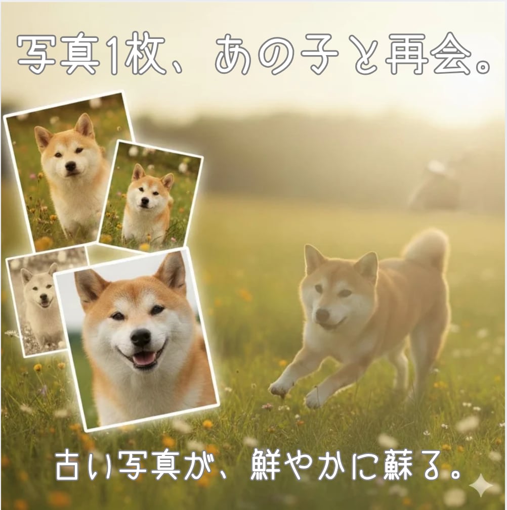 写真から虹の橋のあの子と再会する動画を作ります 1枚の写真から亡き最愛のペットの面影が蘇る動画を制作します。 イメージ1