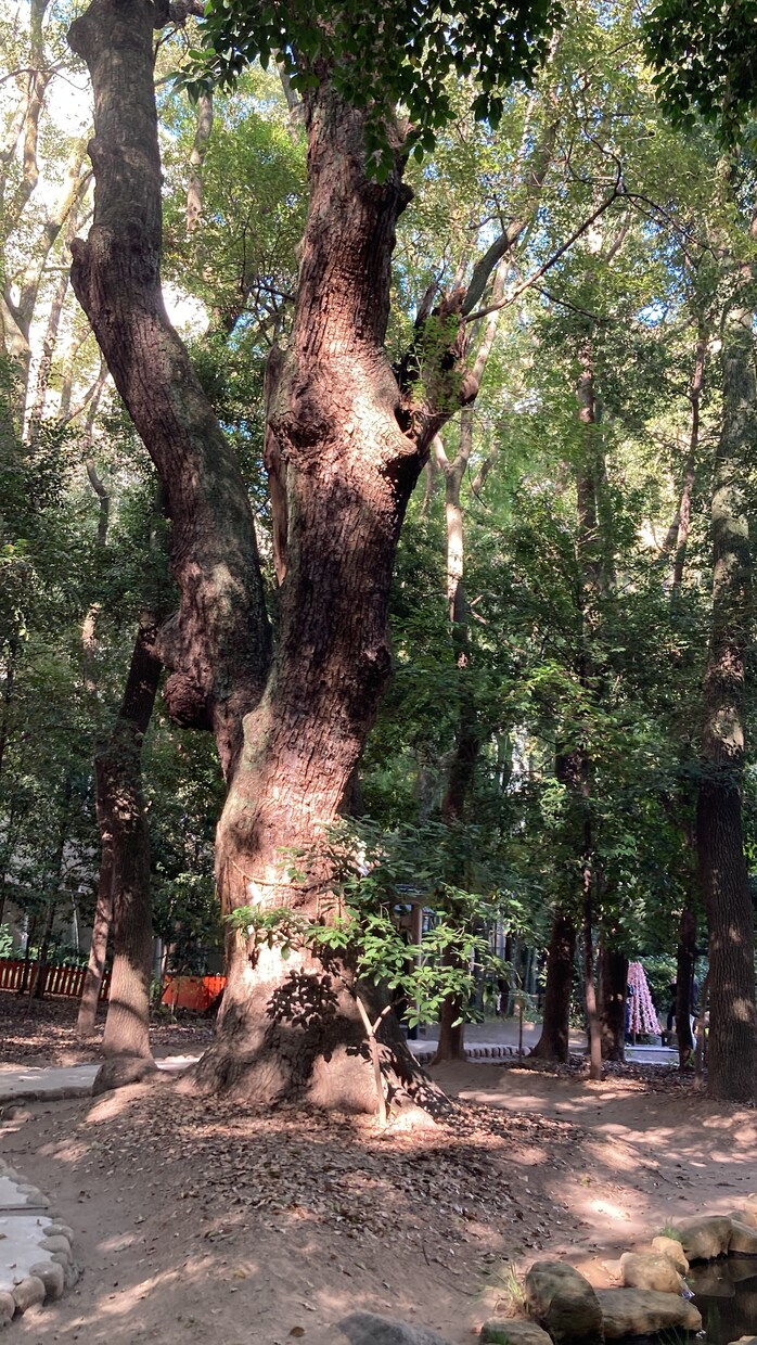 2022.11プラチナ感謝⭐︎結が笑顔のお話します トーク鑑定リピーター様限定⭐︎占い無しのトークしていきます！ イメージ2