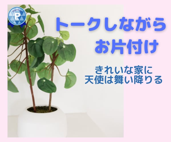 散らかった部屋をきれいにするアドバイスします やれば必ずできる☆きれいに片付いた家にしませんか？ イメージ1