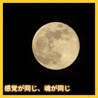 ツインソウル・ツインレイ⭐️のご縁を繋げます ツインソウル、ツインレイなどの関係性をぜひお話ください✨ イメージ4