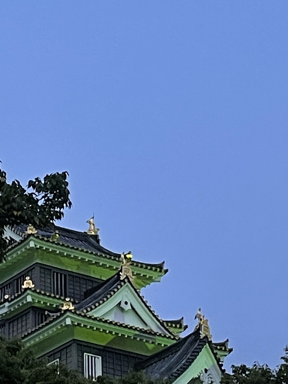 吃音症による悩みに対しての実体験を元に相談をします 吃音症による悩みの解決法を提供します！ イメージ1