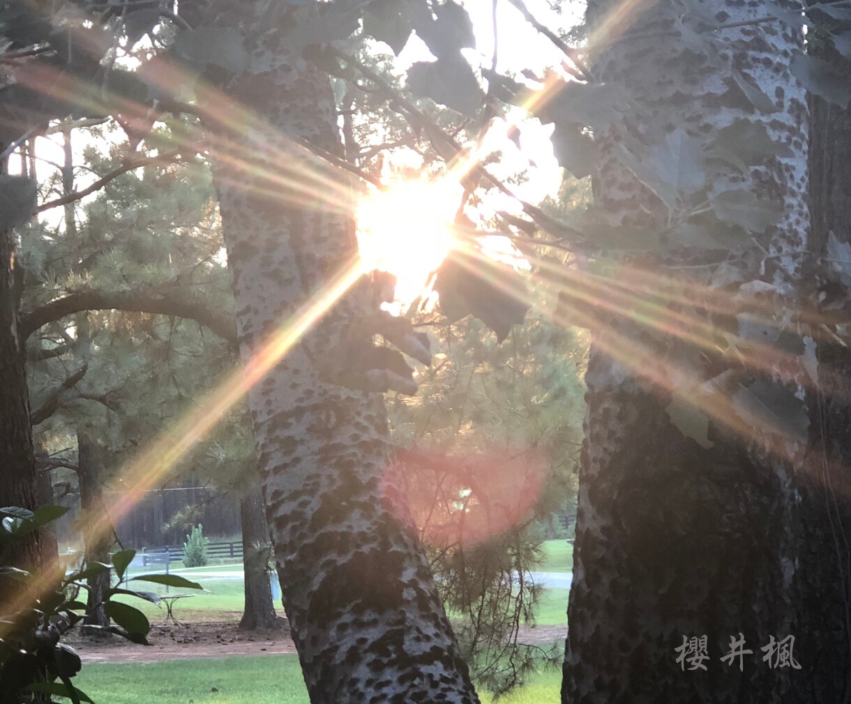 仕事開運✴︎タロット占い✴︎寄り添う鑑定いたします 授かった能力とタロットを使い、開運へと導きます イメージ5