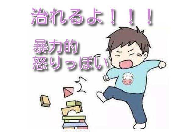 子供の怒りっぽい★暴力的は★おサメられます ～「教育専門大学卒の病院関係者」が相談に乗ります。 イメージ1