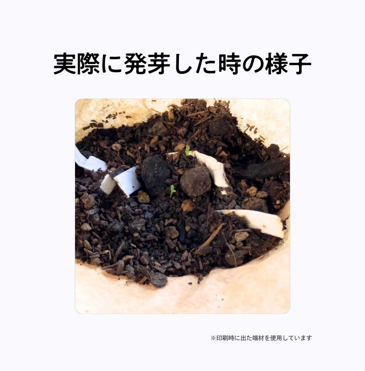 芽が出る！ 循環可能な名刺を作ります 【値下げ実施】相手の心に残る、あなただけのエコ名刺を渡せます イメージ3