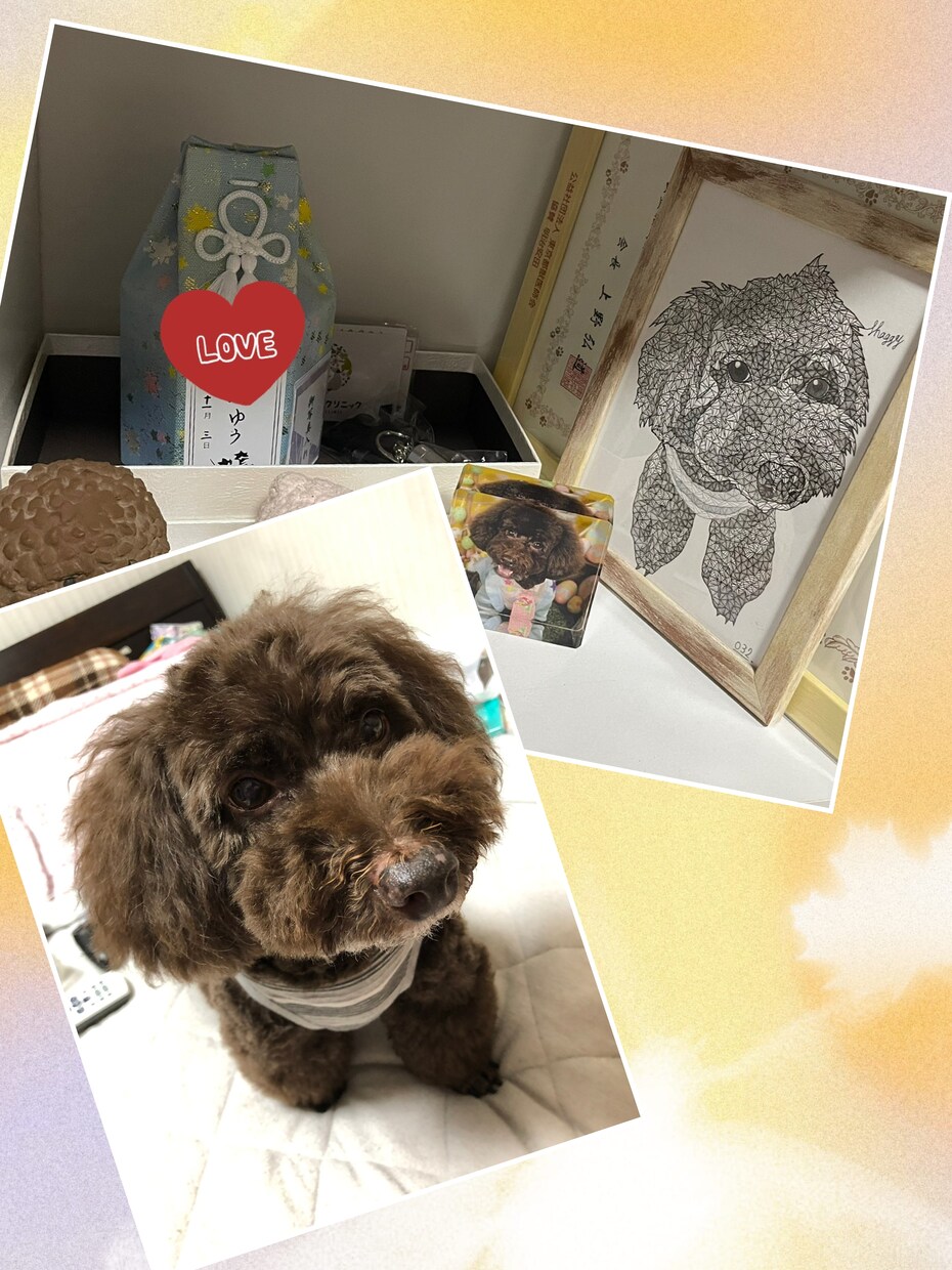 ペットの絵を三角形のみで表現して描きます ボールペンの線の密度で立体感を表現!! イメージ6
