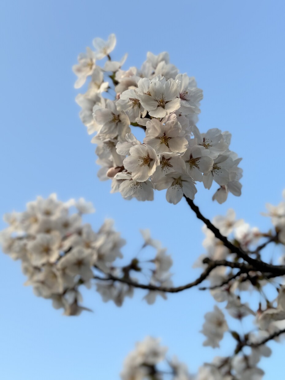 周りに言えない悩み、お話伺います 家族、友人になかなか話せないこと、ありませんか？ イメージ1