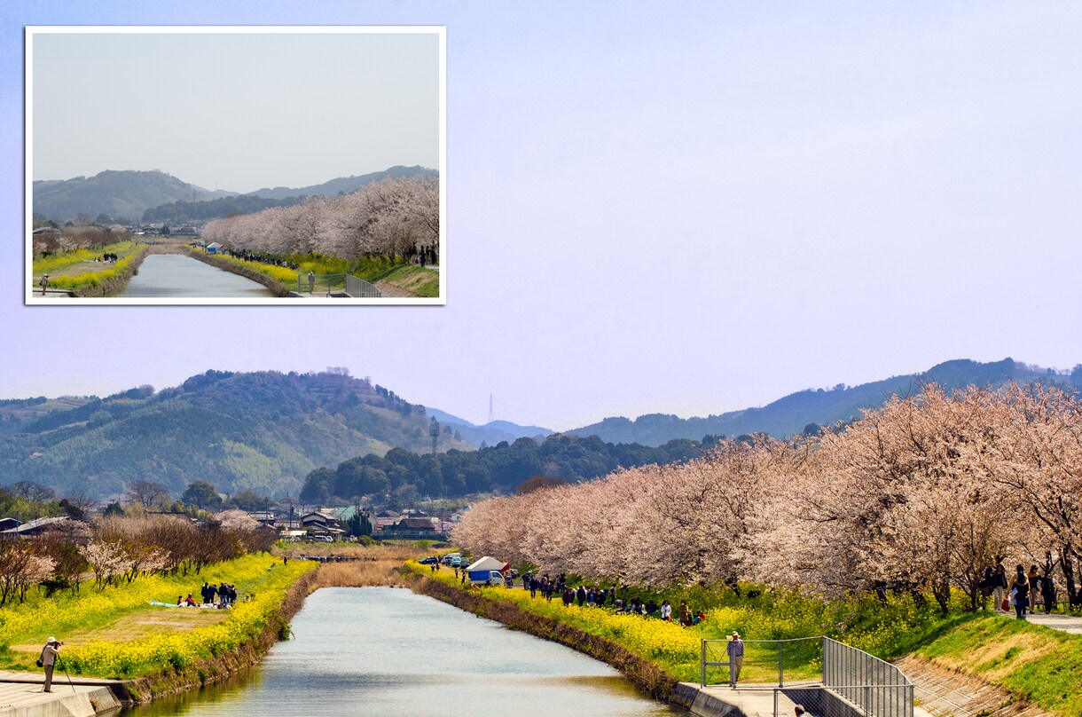 写真の加工補正致します 暗く写った、色が地味等ご相談ください。 イメージ5